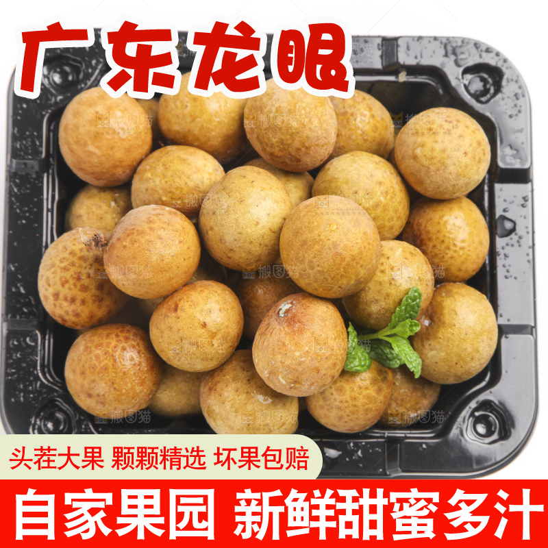 白底上的龙眼