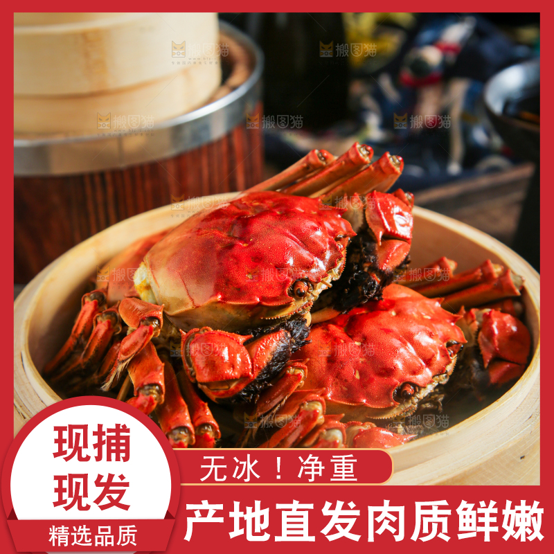 蒸笼里的熟螃蟹