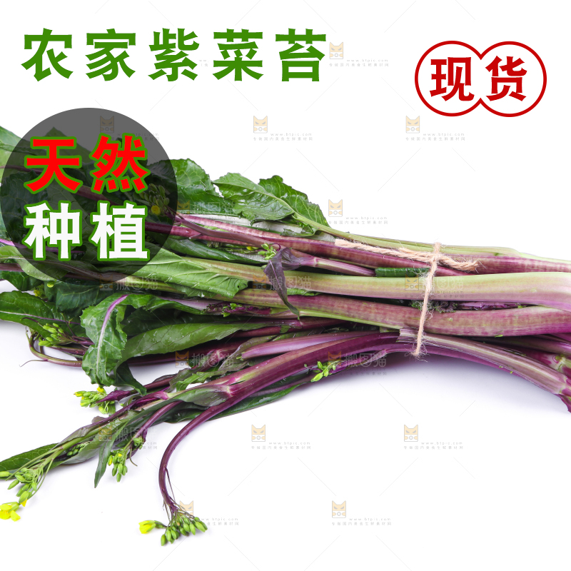 白底上放着紫菜苔