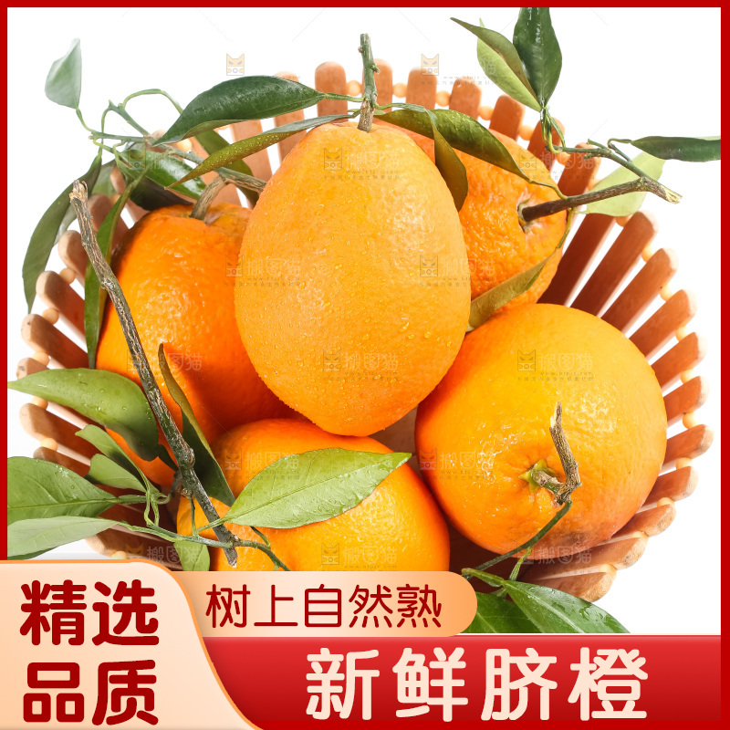篮子里装着奉节脐橙