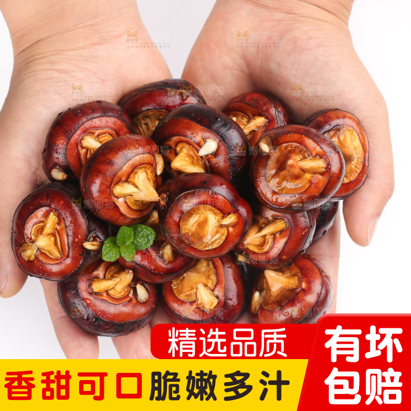 手里捧着湖北新鲜马蹄