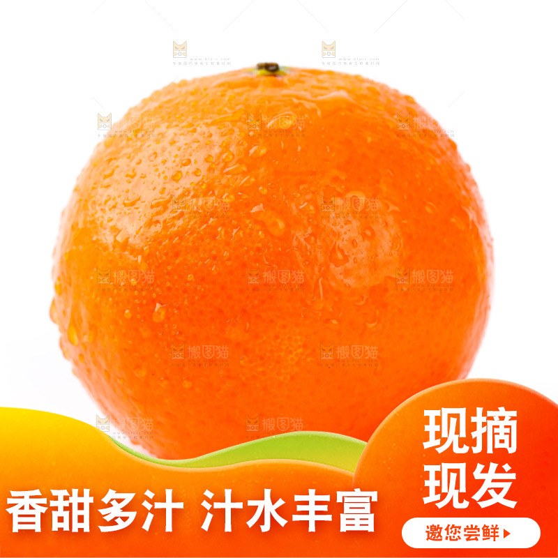 白底上放着广西沃柑