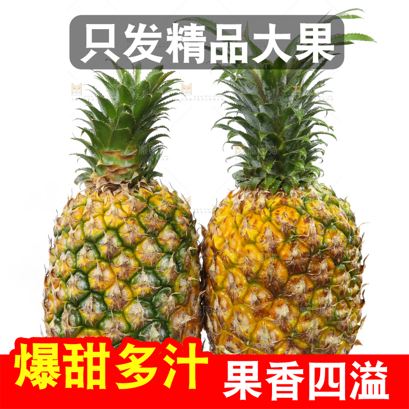 白底上放着菠萝