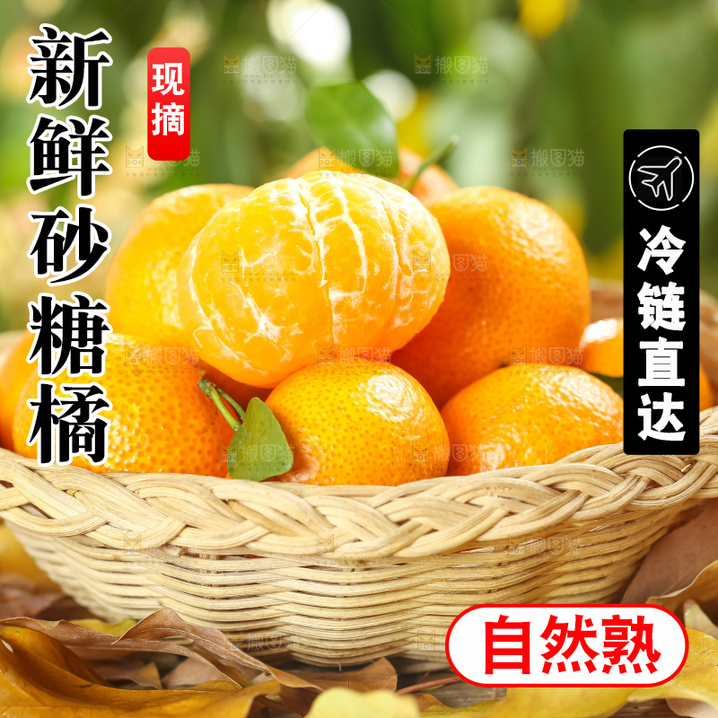 篮子里装着广西砂糖橘