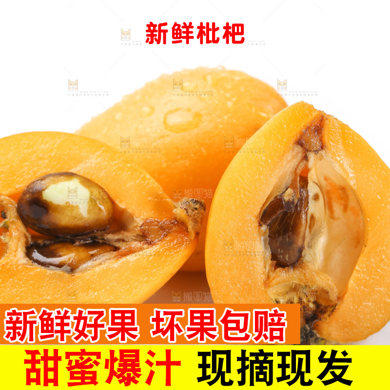 白底上的枇杷