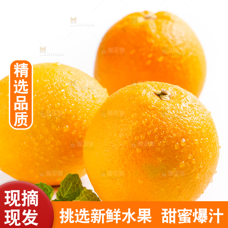白底上的血橙