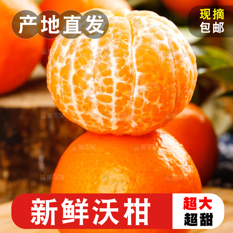 木板上摆放着广西沃柑