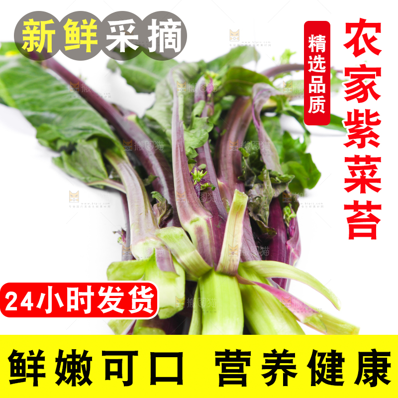白底上放着紫菜苔