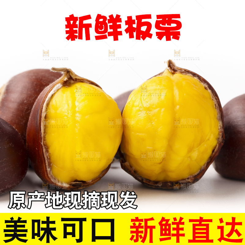 浅底上的迁西板栗