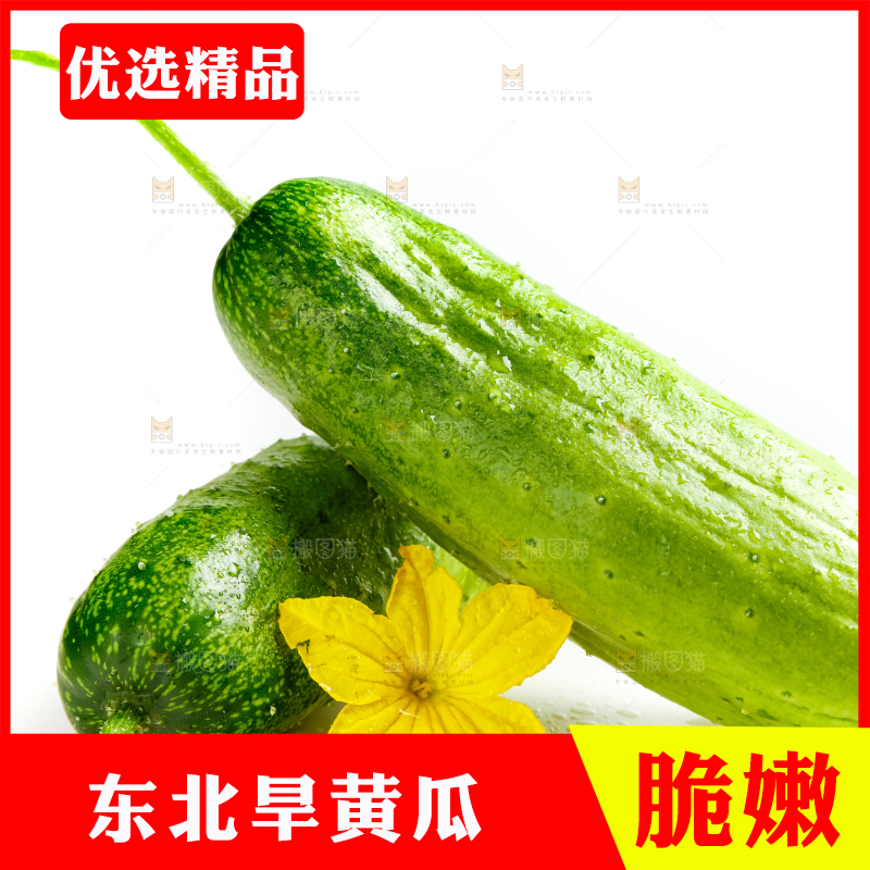 白底上的小黄瓜