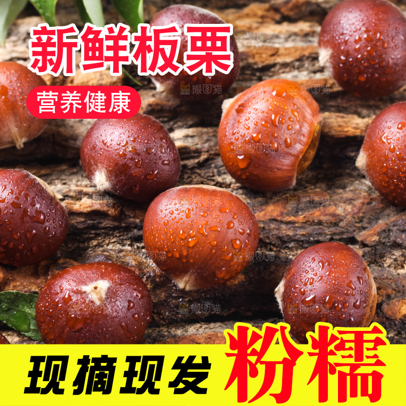 木底上的毛栗子