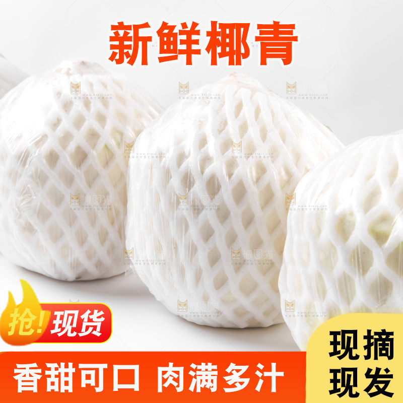 白底上放着青椰子