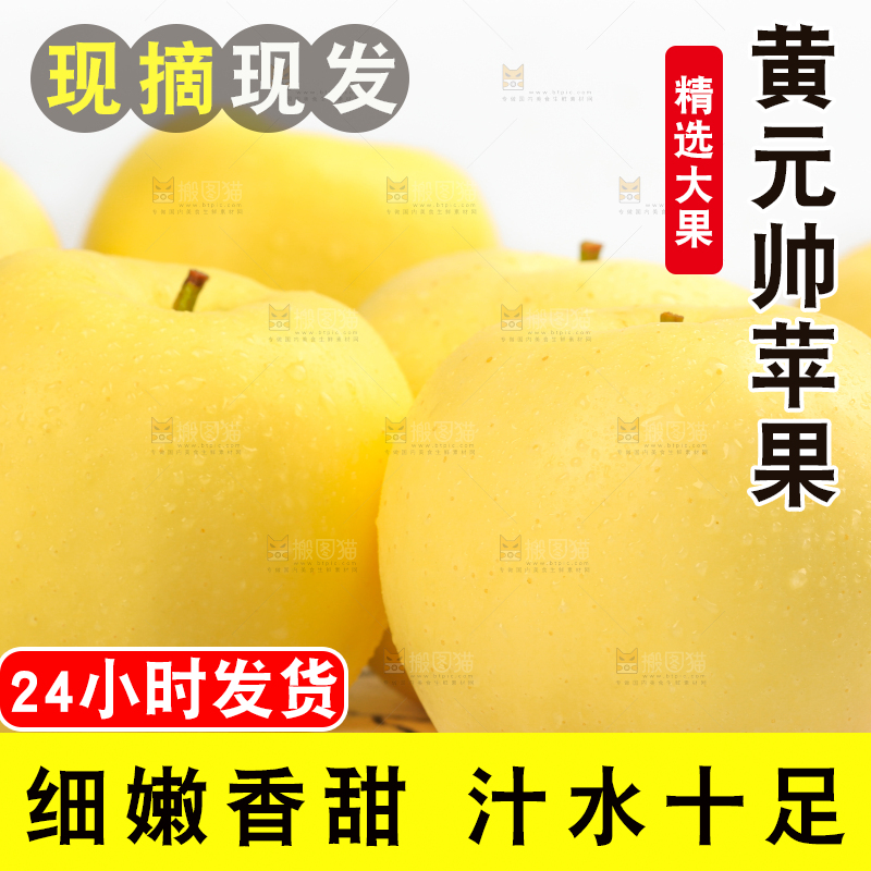 白格子底上的烟台黄金帅