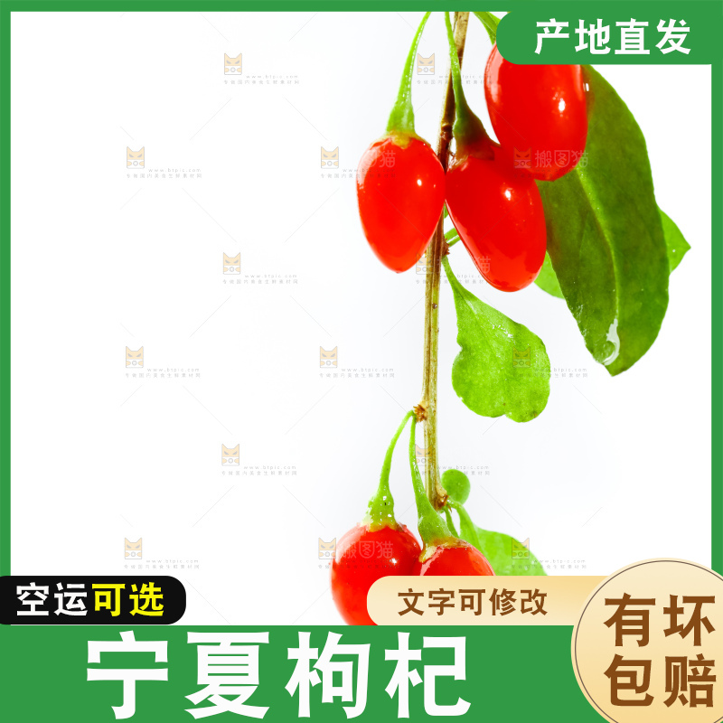 白底上放着枸杞