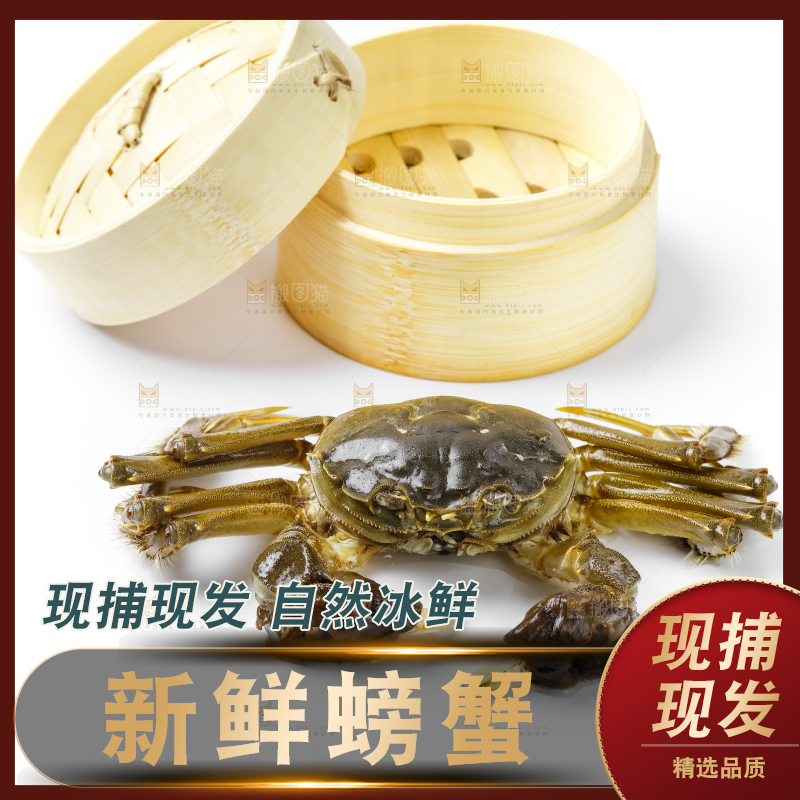 浅底上的鲜活螃蟹