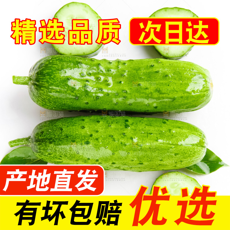 白底上的旱黄瓜