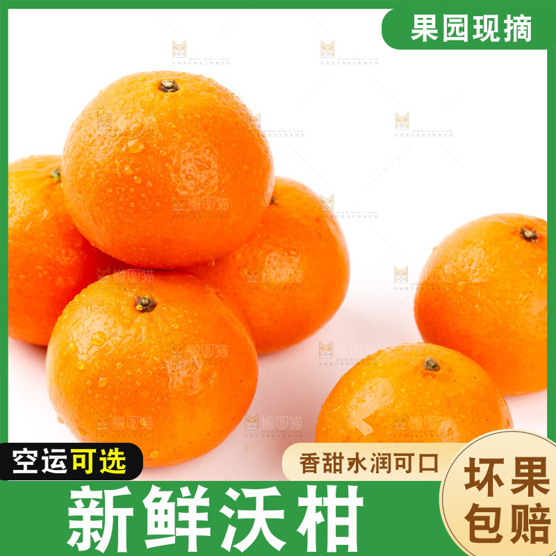 白底上放着广西沃柑
