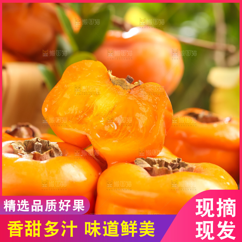 黑石板上放着易县磨盘柿