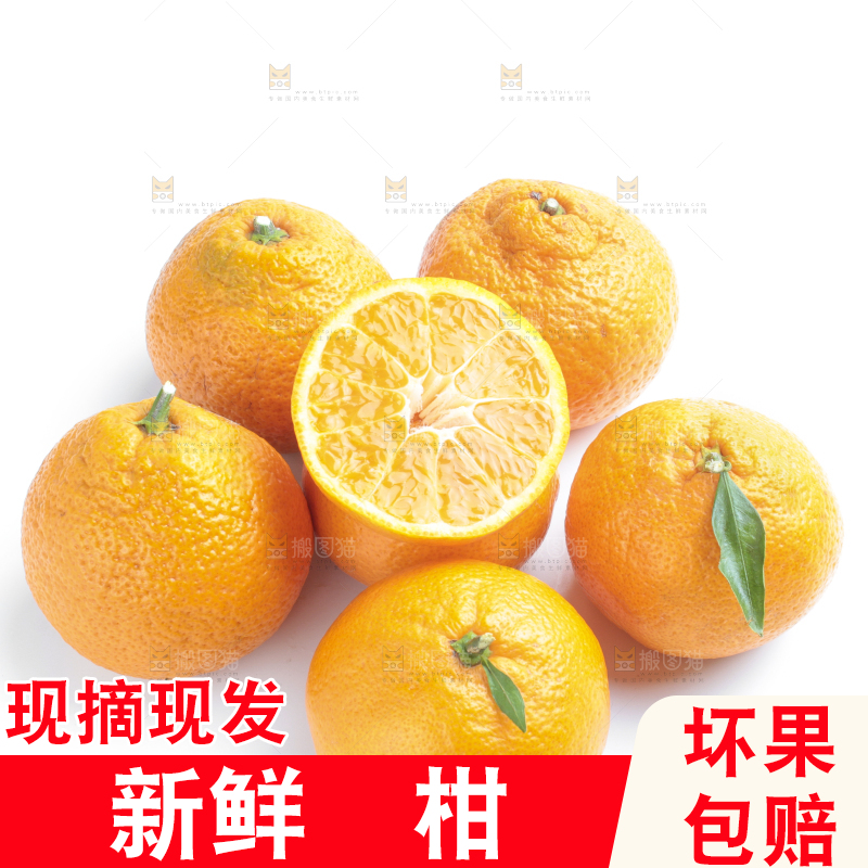 白底上一堆椪柑橘