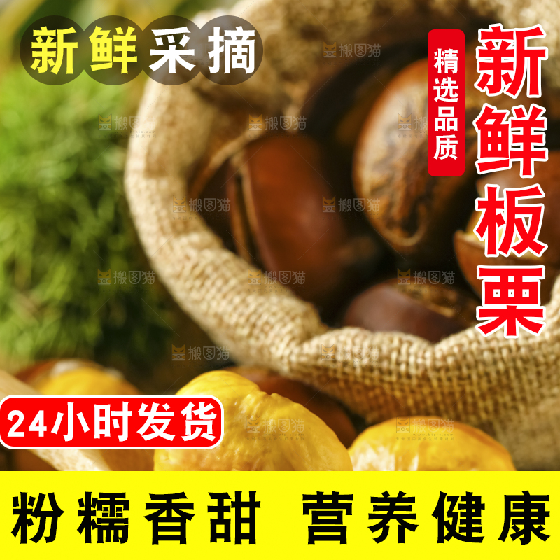 深底上的迁西板栗
