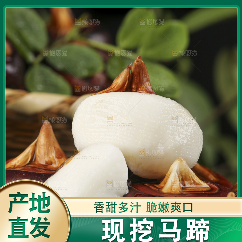 黑石板上的荔浦马蹄