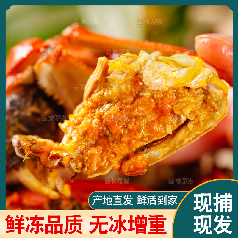 蒸笼里的清蒸螃蟹