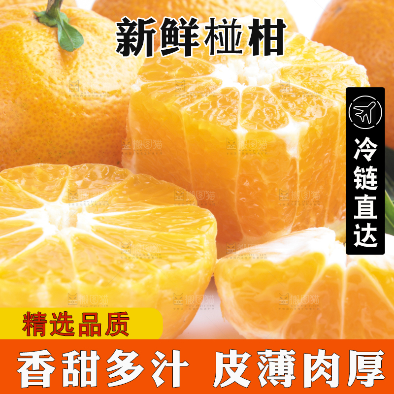 白底上放着四川椪柑