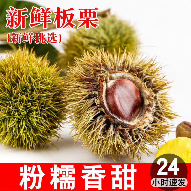 白底上放着生板栗