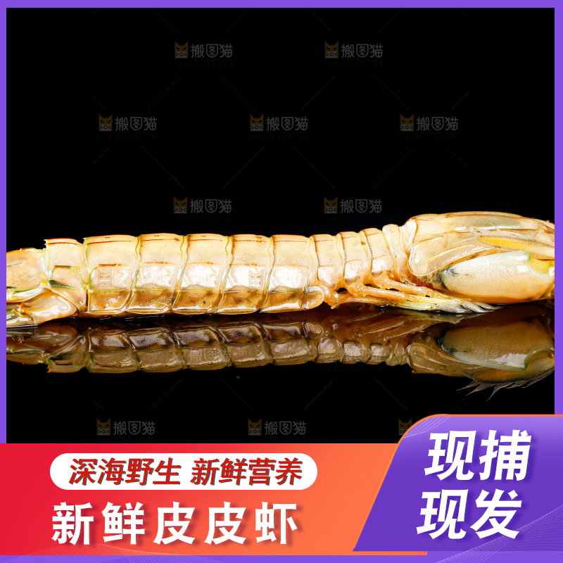 黑底上摆放着舟山皮皮虾