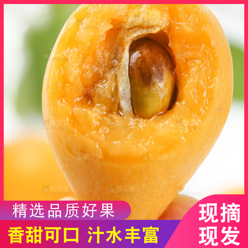 手里拿着新鲜枇杷