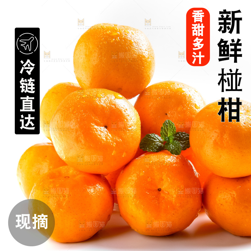 白底上摆放着椪柑橘