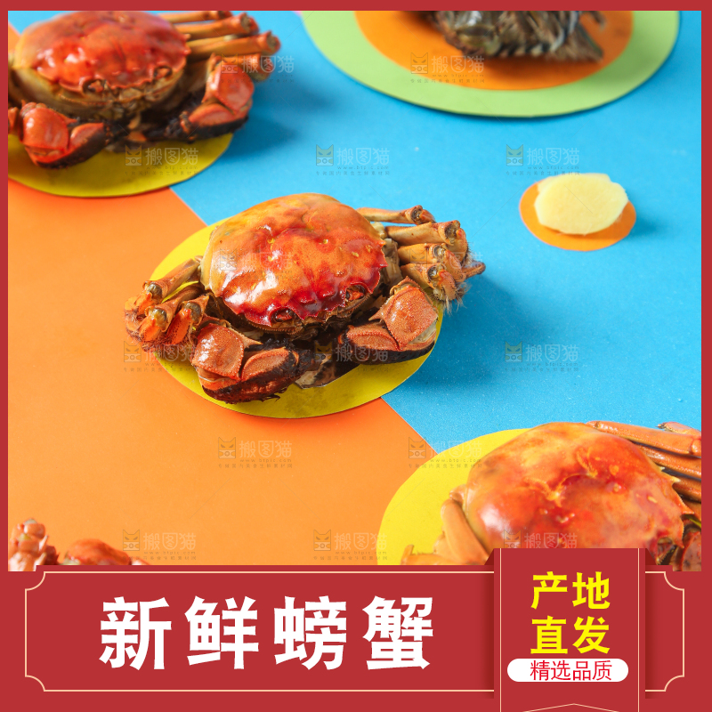 彩底上的螃蟹
