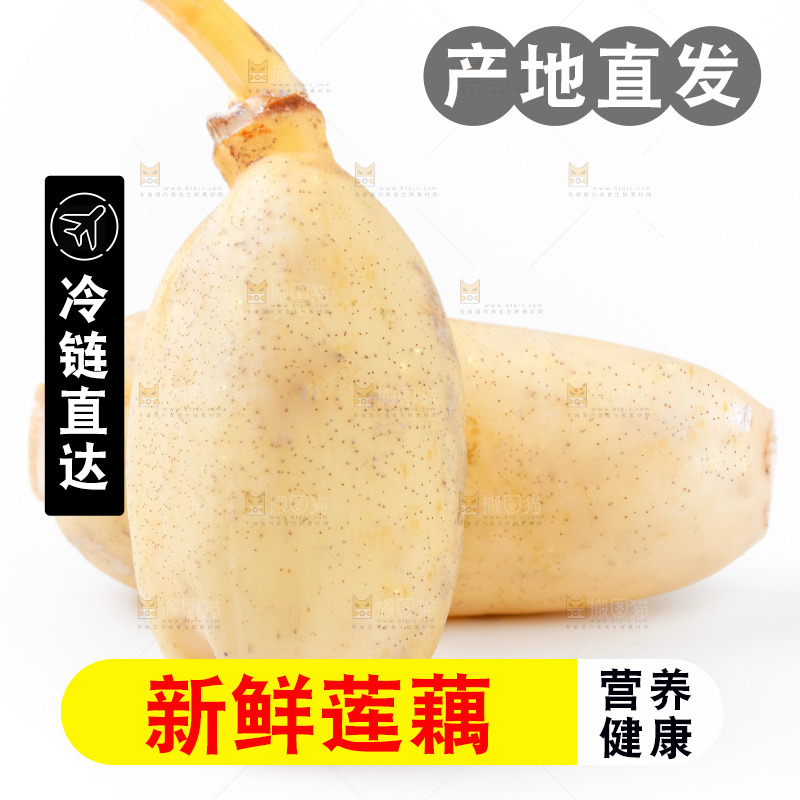 白底上放着莲藕