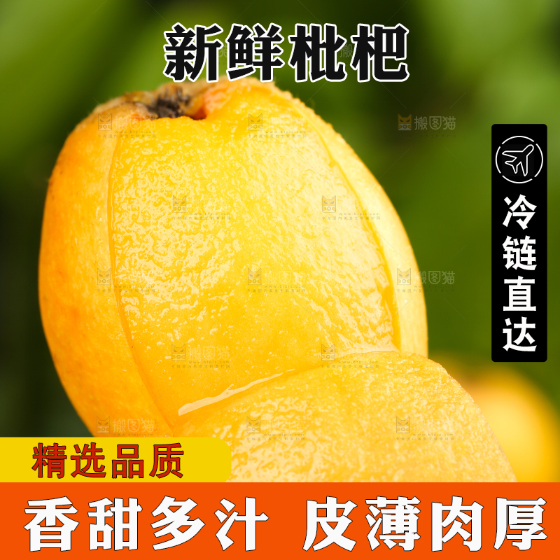 手里拿着新鲜枇杷