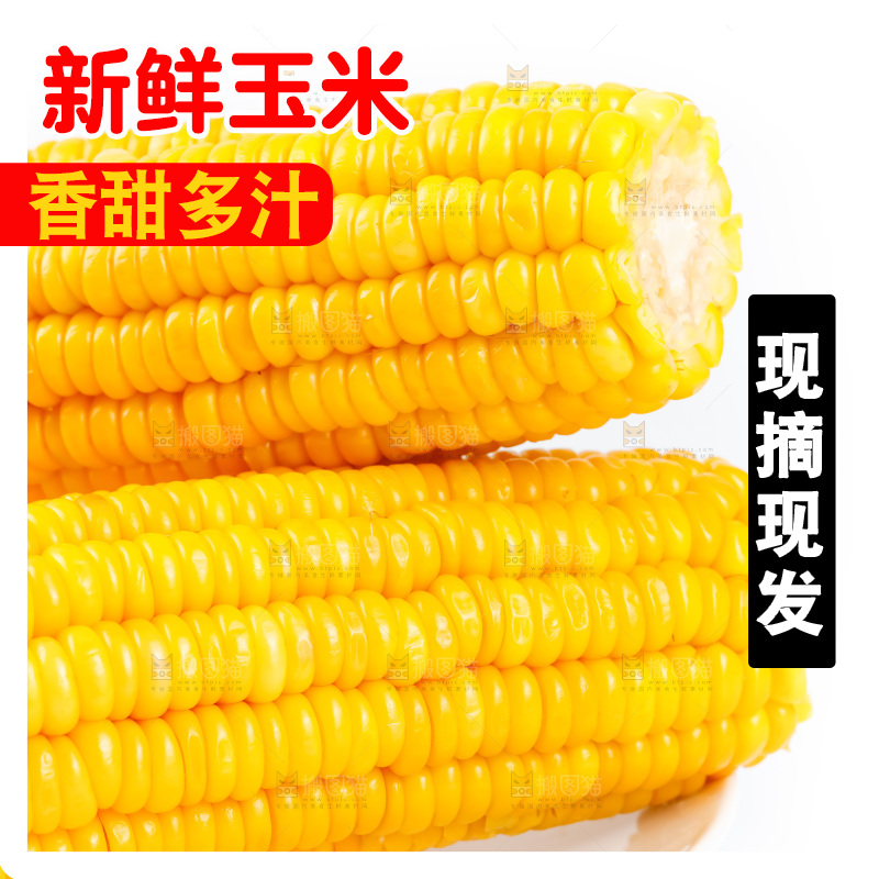白底上放着黄玉米