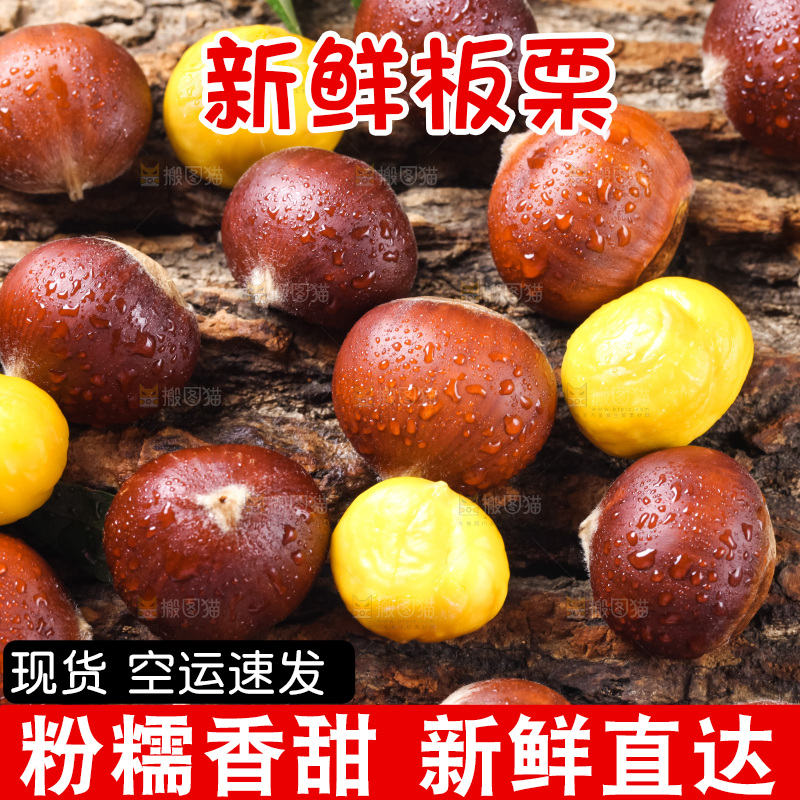 木底上的毛栗子