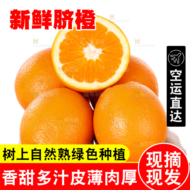 手里拿着长虹脐橙
