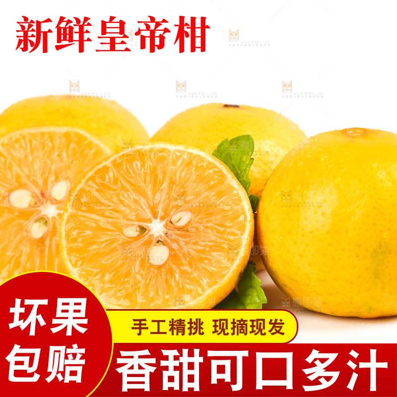 白底上放着一堆新鲜皇帝柑