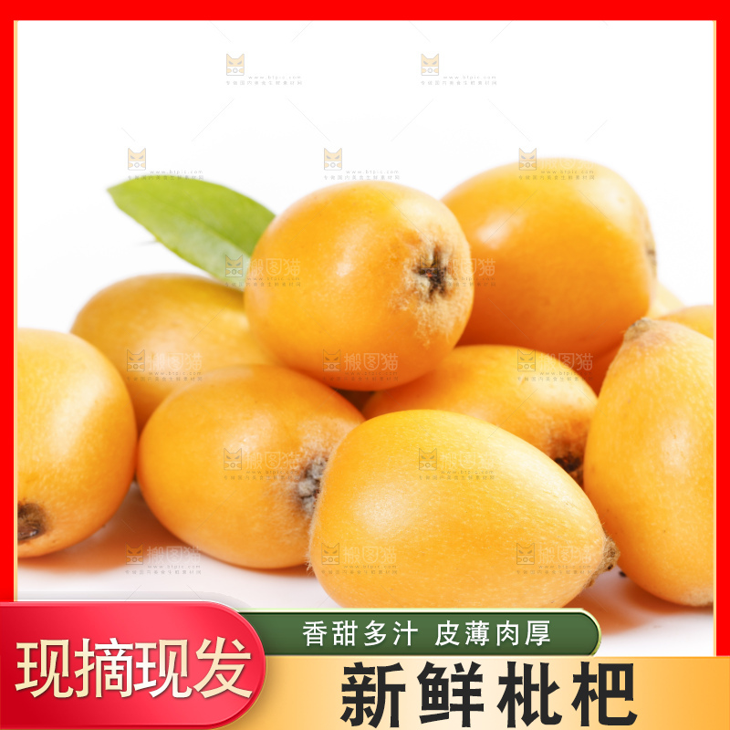 白底上的米易枇杷