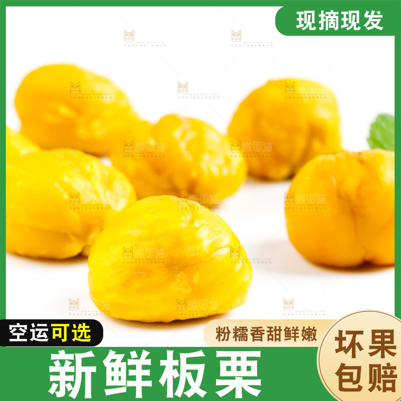 白底上放着毛栗子