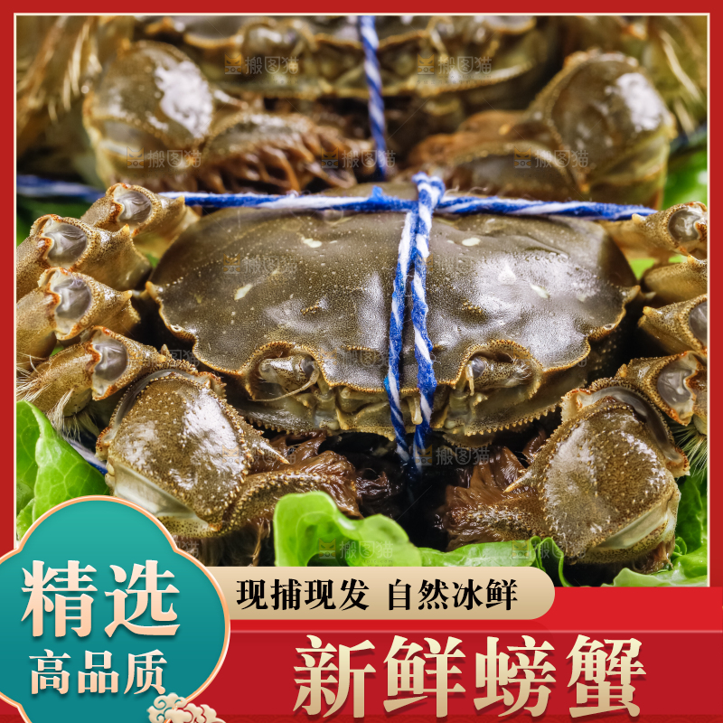 盘子里的阳澄湖大闸蟹