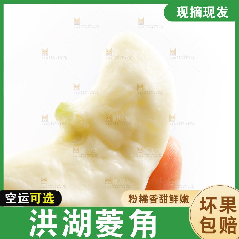 白底上的菱角