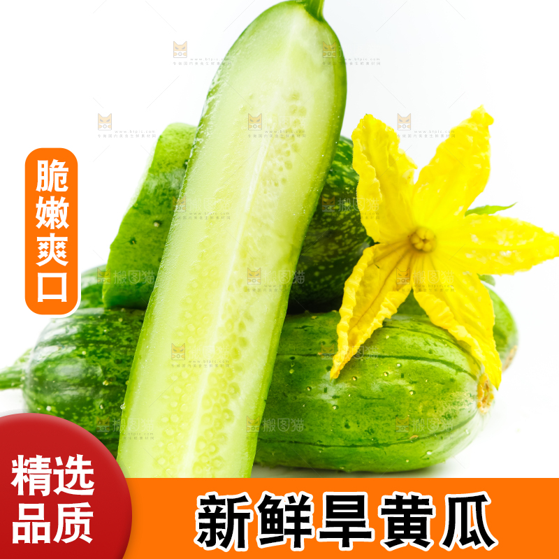 白底上放着新鲜旱黄瓜