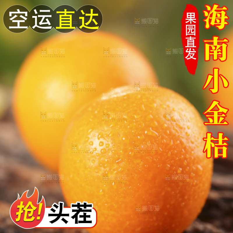木底上放着新鲜金钱桔