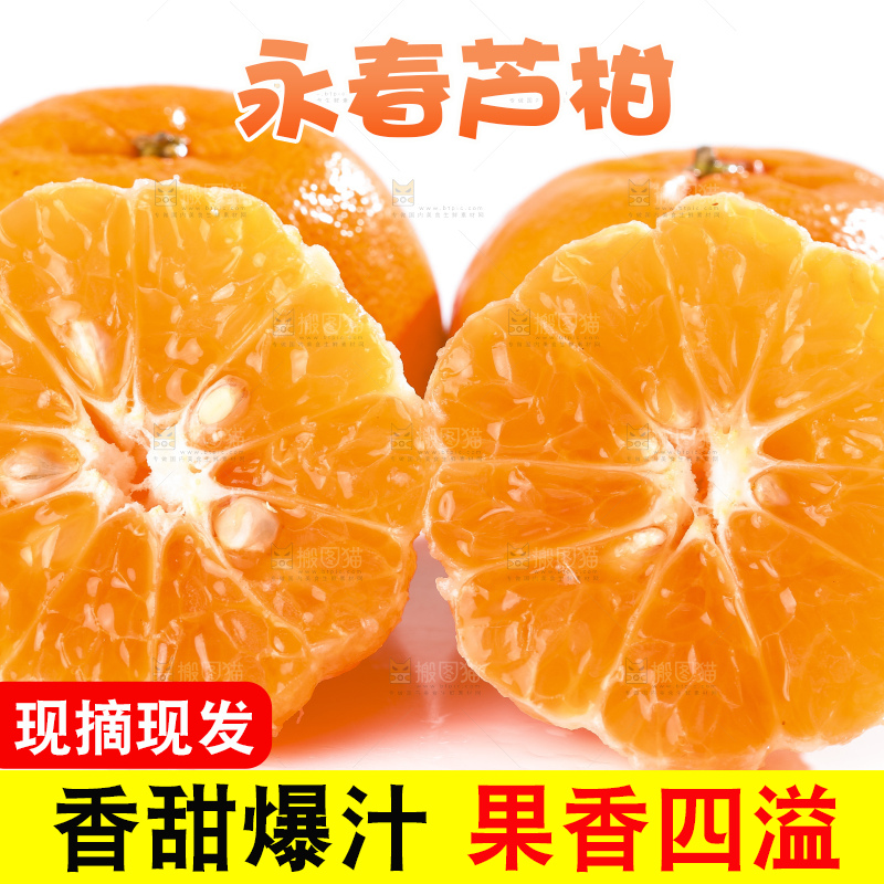白底上的芦柑