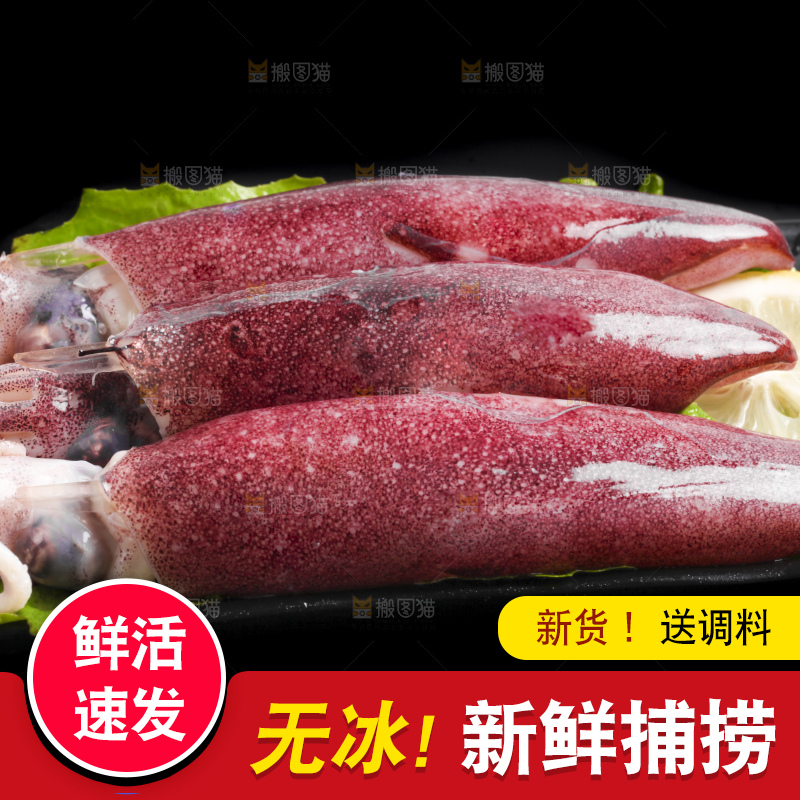 黑底上的鱿鱼