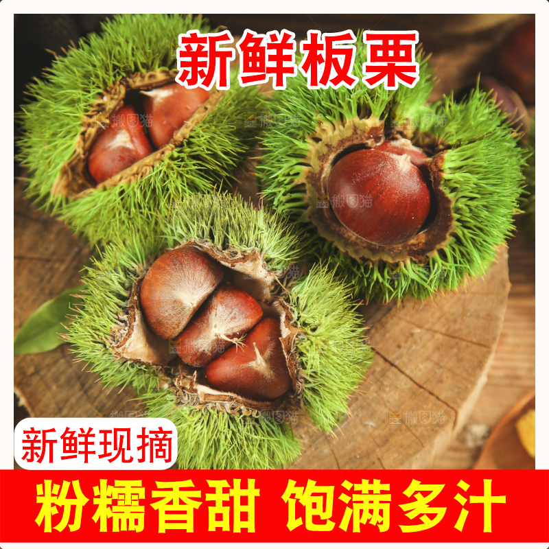 木底上放着迁西板栗