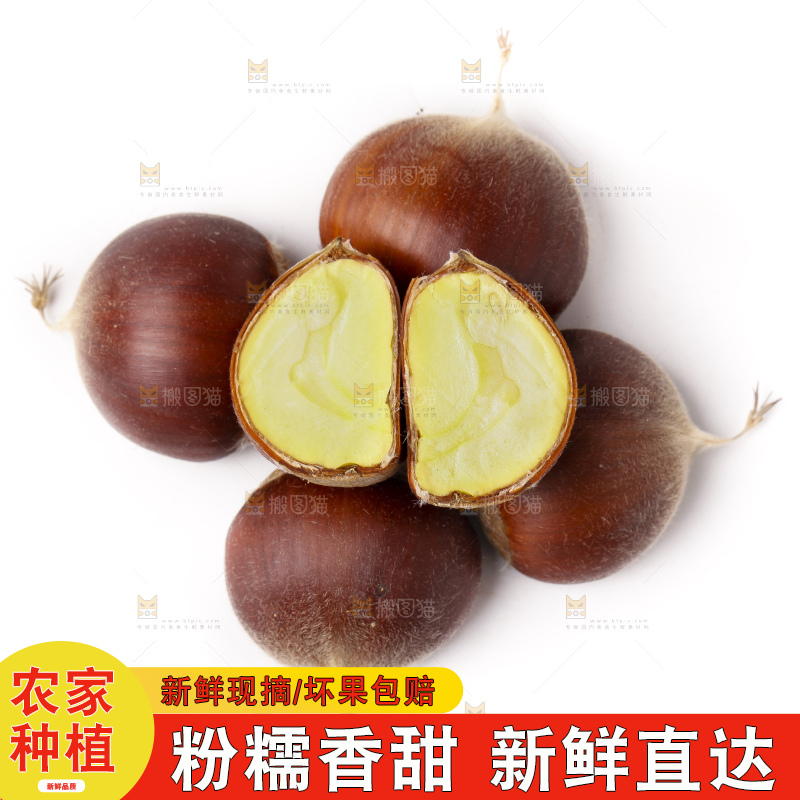 白底上放着迁西板栗