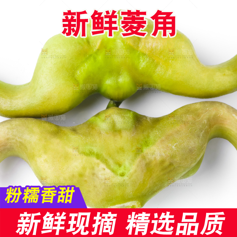 浅底上的新鲜菱角