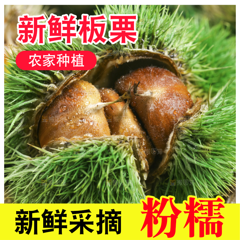深底上放着迁西板栗